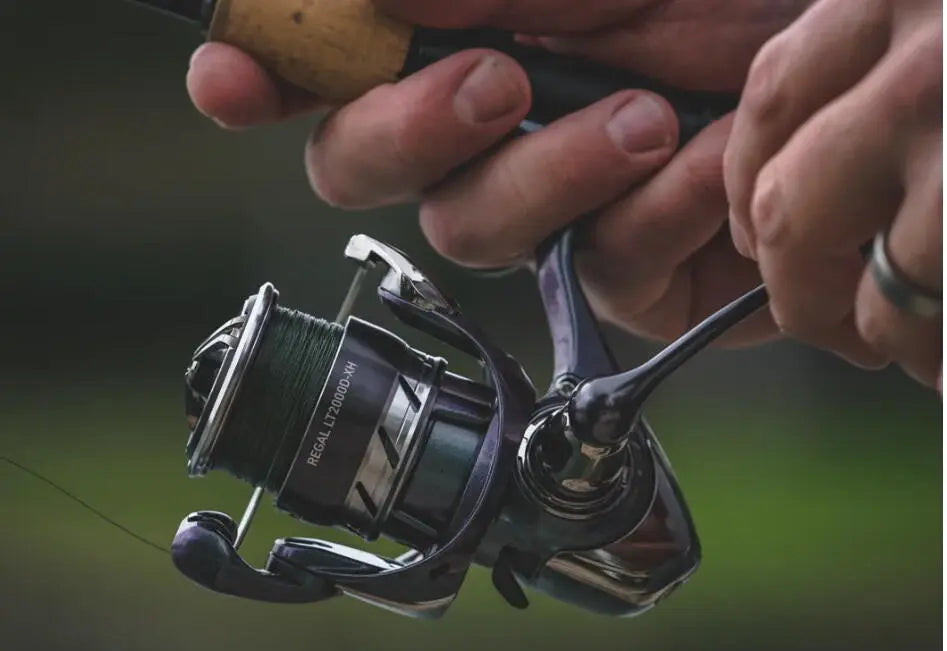 Mulineta Spinning DAIWA 24 REGAL LT 2000D-XH 6RUL/150MX023M/6.2:1