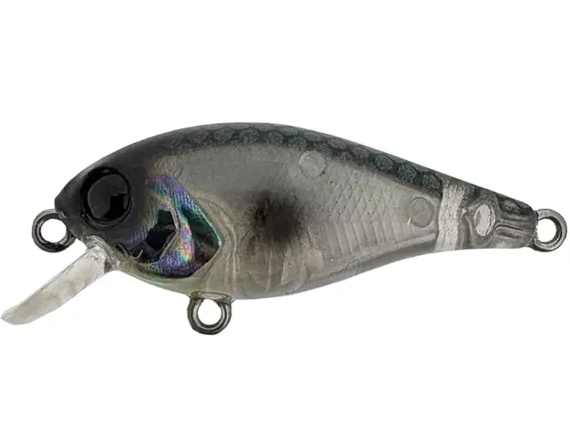 Vobler River2Sea Biggie 37SD 3.7cm 3.5g Abalone Shad 05 F 3.7cm 3.5g Abalone Shad