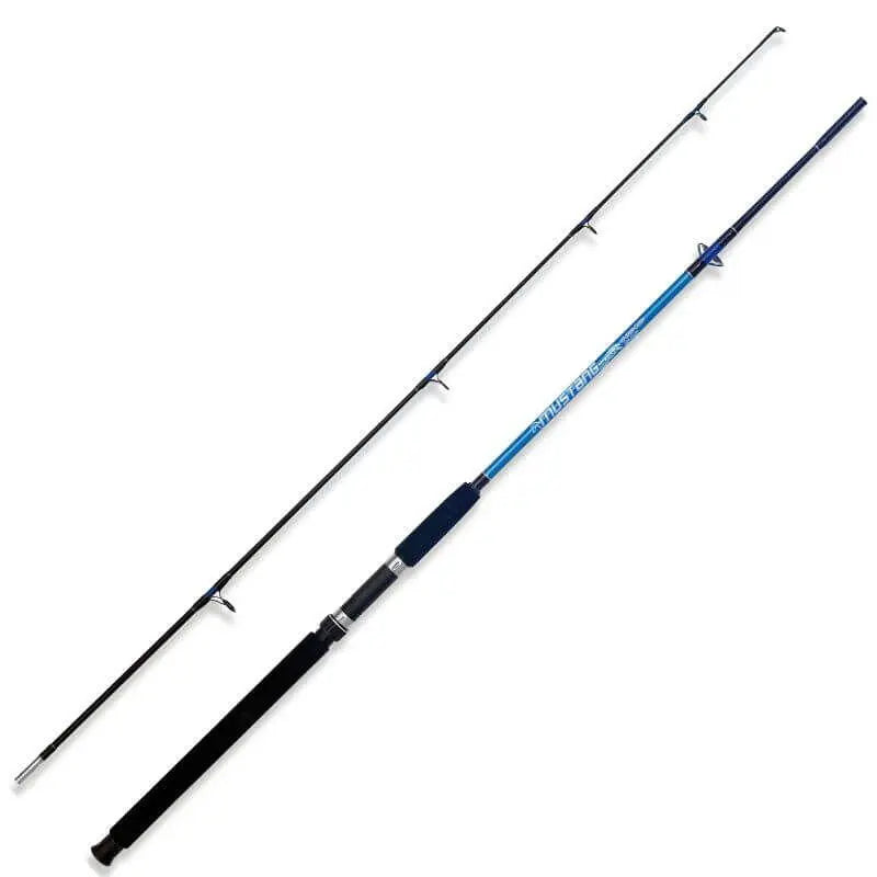 Lanseta Somn Lineaeffe Mustang 2buc Evolution 2,10m 100-250g