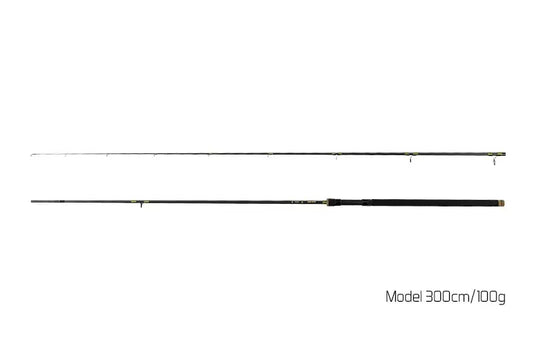 Lanseta Delphin Murena 210cm/100g/2 tronsoane