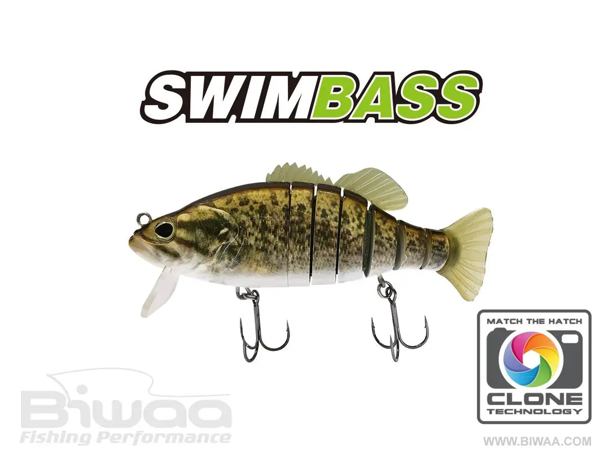 Biwaa Swimbass 6 Slow Sink 15cm 65gr 35 Smallie