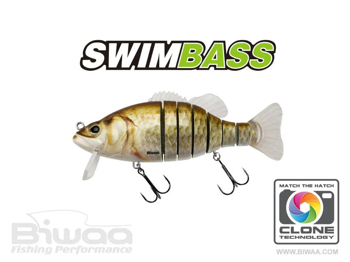 Biwaa Swimbass 6 Slow Sink 15cm 65gr 12 Carassin