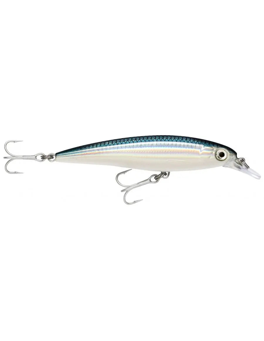 Rapala X-RAP SALTWATER 10 BFH