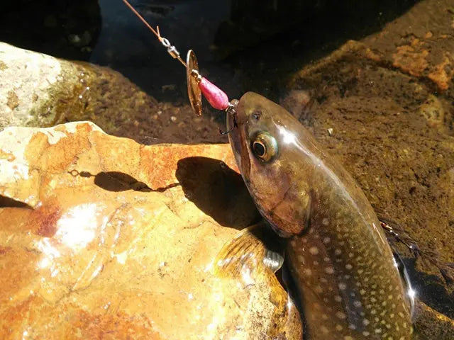 Lingurita rotativa Smith AR-S Spinner Trout 4.5g 13 AR-S Spinner Trout 4.5g 13