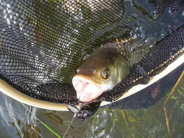 Pontoon21 Mojarrilla 900 4cm 3.5g Floating SR Pontoon21 Mojarrilla 900 AI Wakasagi HM 4cm 3.5g Floating SR