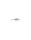 RAPALA COUNTDOWN ELITE CDE55 GDWK