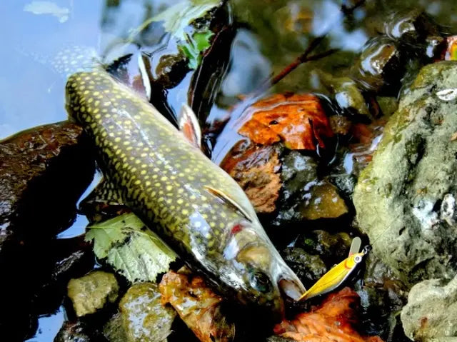 Smith AR-FS Minnow 45mm 3.7g 04 S AR-FS Minnow 45mm 3.7g 04 S
