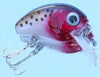 Vobler STRIKE PRO VOBLER 2,5CM.2,5G BABY PRO .
