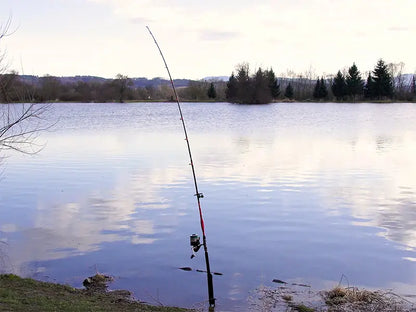 Delphin DANGER CatFISH 285cm/350g/2 tronsoane