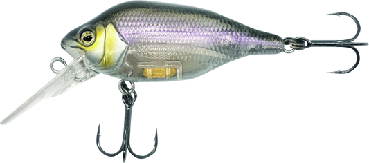 Fox Rage Funk Bug 50mm DR UV Gold Head 7g.