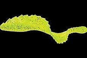 Naluca soft mister twister grub 8cm verde/gliter 4buc/plic