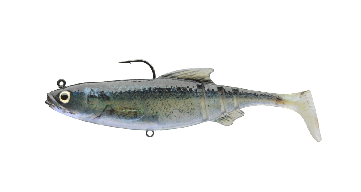 Naluca soft daiwa shad px lazy roach 12cm/29g bz