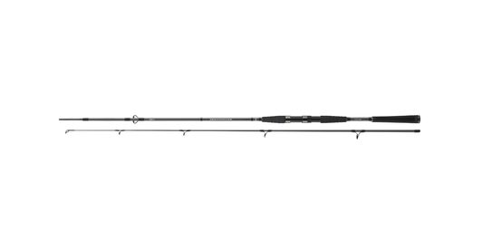 Lanseta Spinning Daiwa 2buc. Seahunter X Pilk 2,70m/40-120g