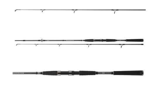 Lanseta Spinning Daiwa 2buc. Seahunter X Pilk 2,70m/100-220g