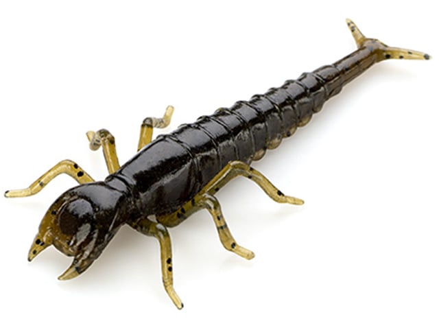 FishUp Diving Bug 5cm #043 Watermelon Brown Black
