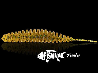 FishUp Tanta 8.9cm #049 Orange Pumpkin Black 8.9cm Orange Pumpkin Black