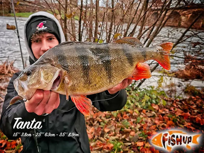 FishUp Trout Series Tanta Cheese 5cm #142 Bubble Gum Hot Orange 5cm #142 Bubble Gum Hot Orange