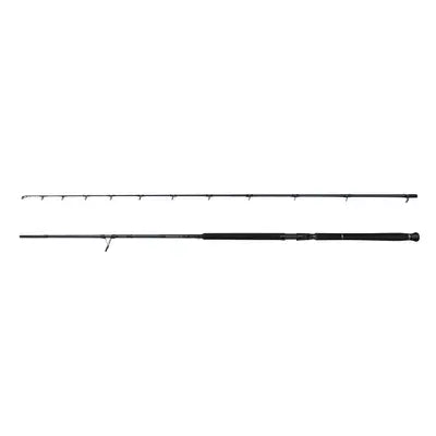 Lanseta Savage Gear Defiance Sg2 Shore Jig 2.90m/20-80g 2p