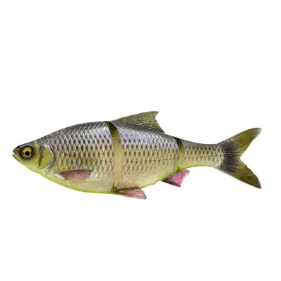 Shad Savage Gear 3d Lt Roach 32cm 445g S Hugo
