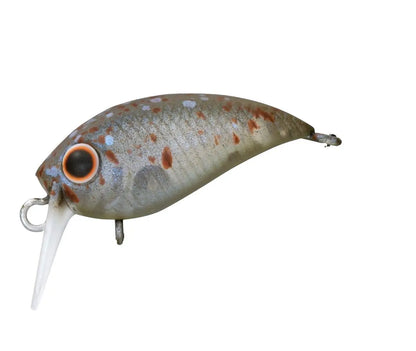 Vobler Daiwa Vobler Presso Wabcra Jr. 25f Sr 2,5cm/1,5g S.o.p.