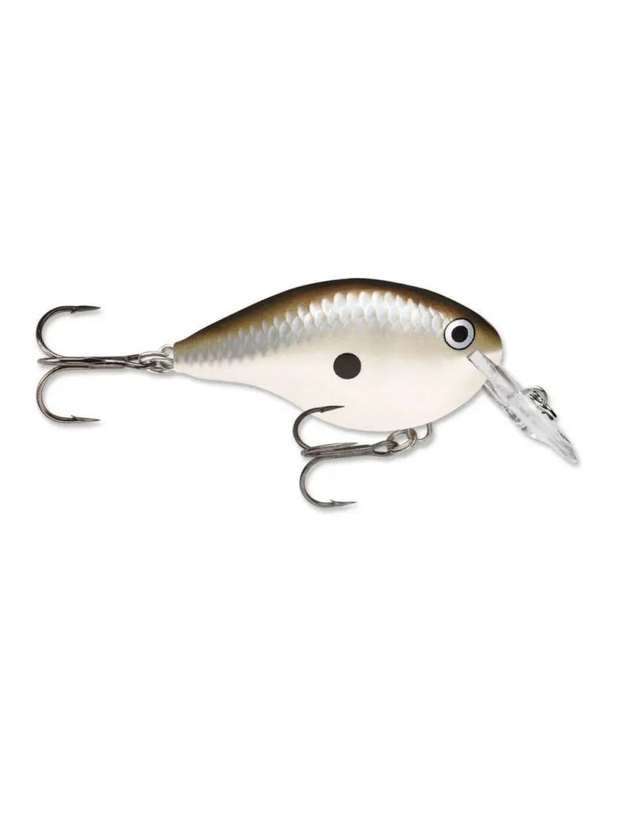Rapala DIVES-TO DT06 PGS