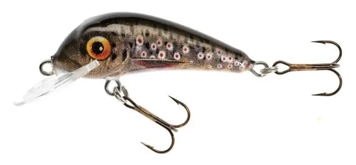 Jaxon Vobler Holo Select Senso Qm F Eb 5.5cm 5.7gr