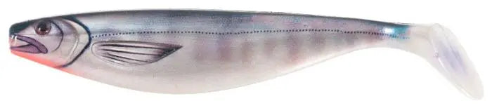 Shad Jaxon Intensa Xxl 23cm E