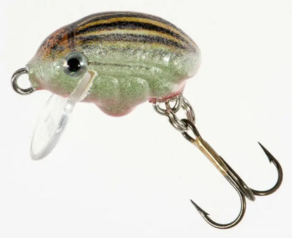 Jaxon Vobler Hs Lil Bug F Av 2cm 1.8gr