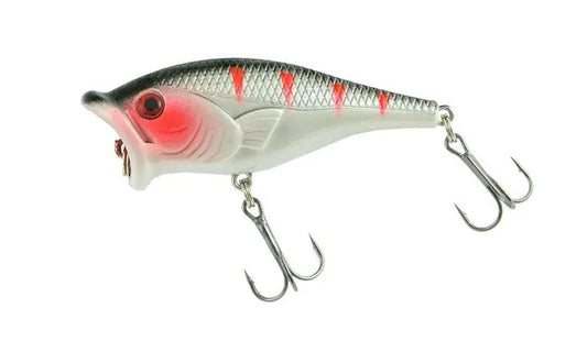 Jaxon Popper Atract Cosma F C 7cm 10gr