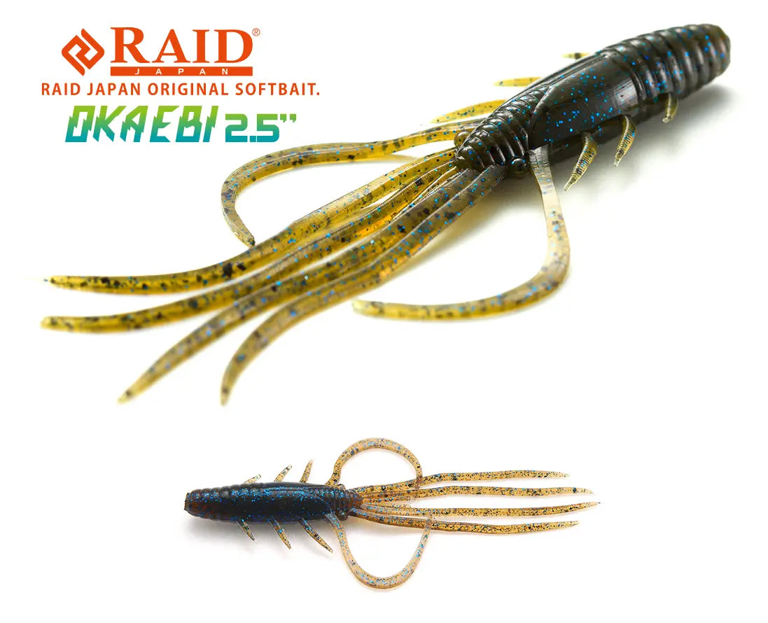 Raid Oka Ebi 2.5 6.3cm 020 Dark Cinnamon Blu Flk
