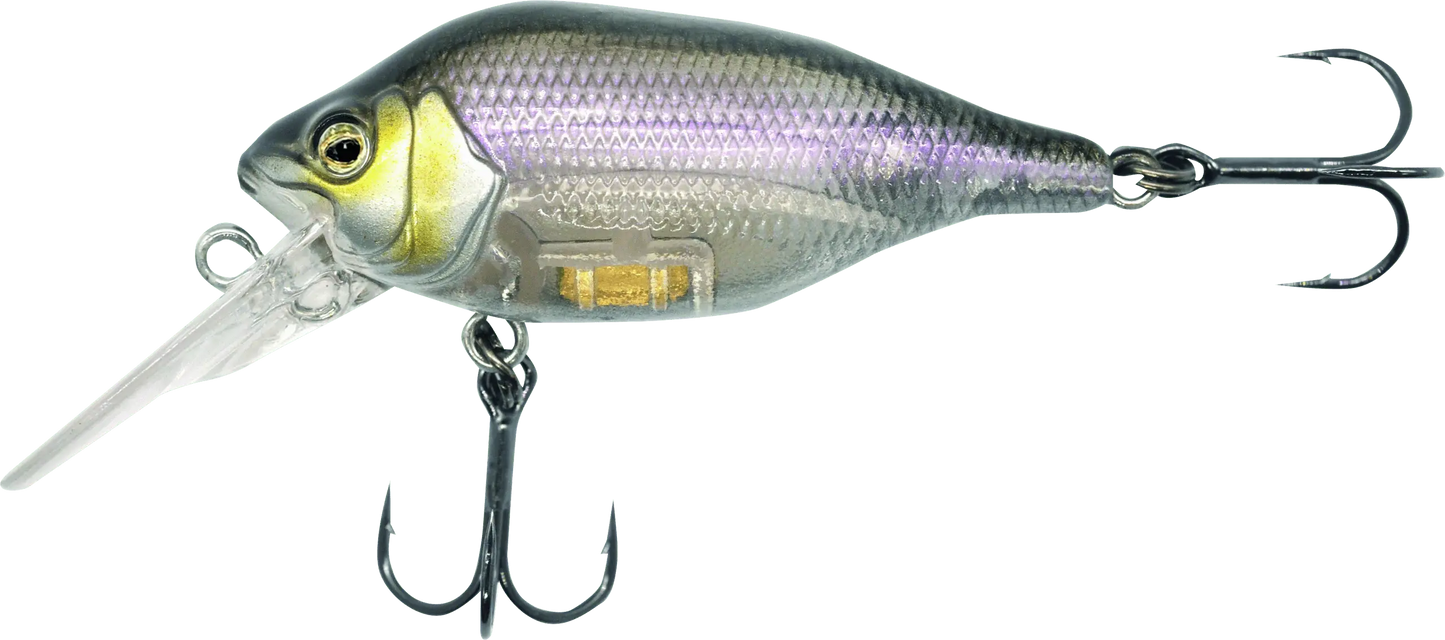 Fox Rage Funk Bug 50mm DR UV Gold Head 7g.