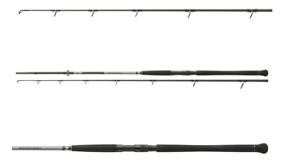 Lanseta Somn Daiwa 2buc. Powermesh Catfish Boje 3,0m/150-400g