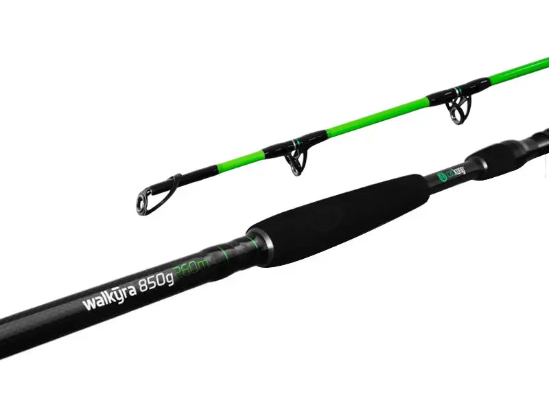 Lanseta Delphin Walkyra / 2 Tronsoane 330cm/850g