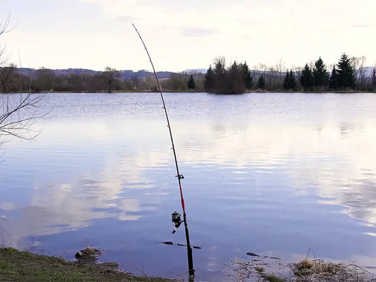 Delphin DANGER CatFISH 285cm/350g/2 tronsoane