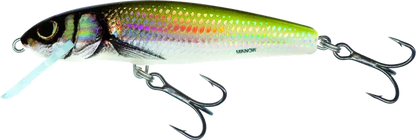 Salmo Minnow Floating 5cm Holo Real Minnow 10g.