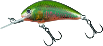 Salmo Hornet Sinking 2.5cm Holo Oikawa 6g.