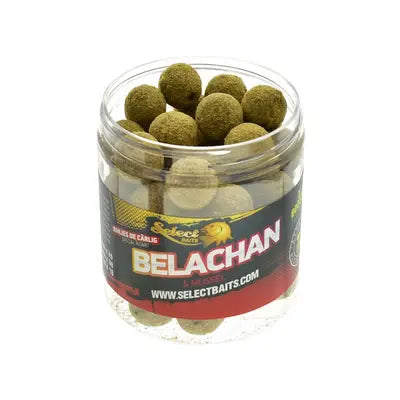 Boilies De Carlig Special Intarit Belachan