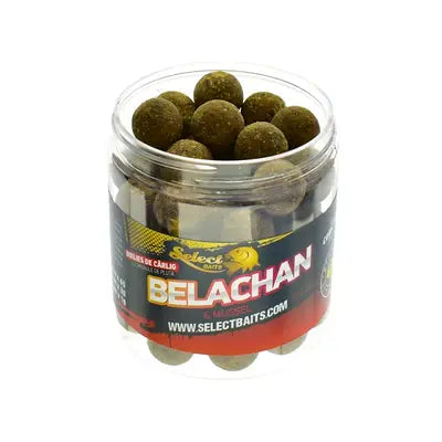 Boilies De Carlig Critic Echilibrat Belachan