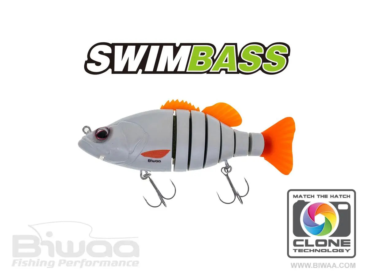 Biwaa Swimbass 6 Slow Sink 15cm 65gr 29 Pearl White