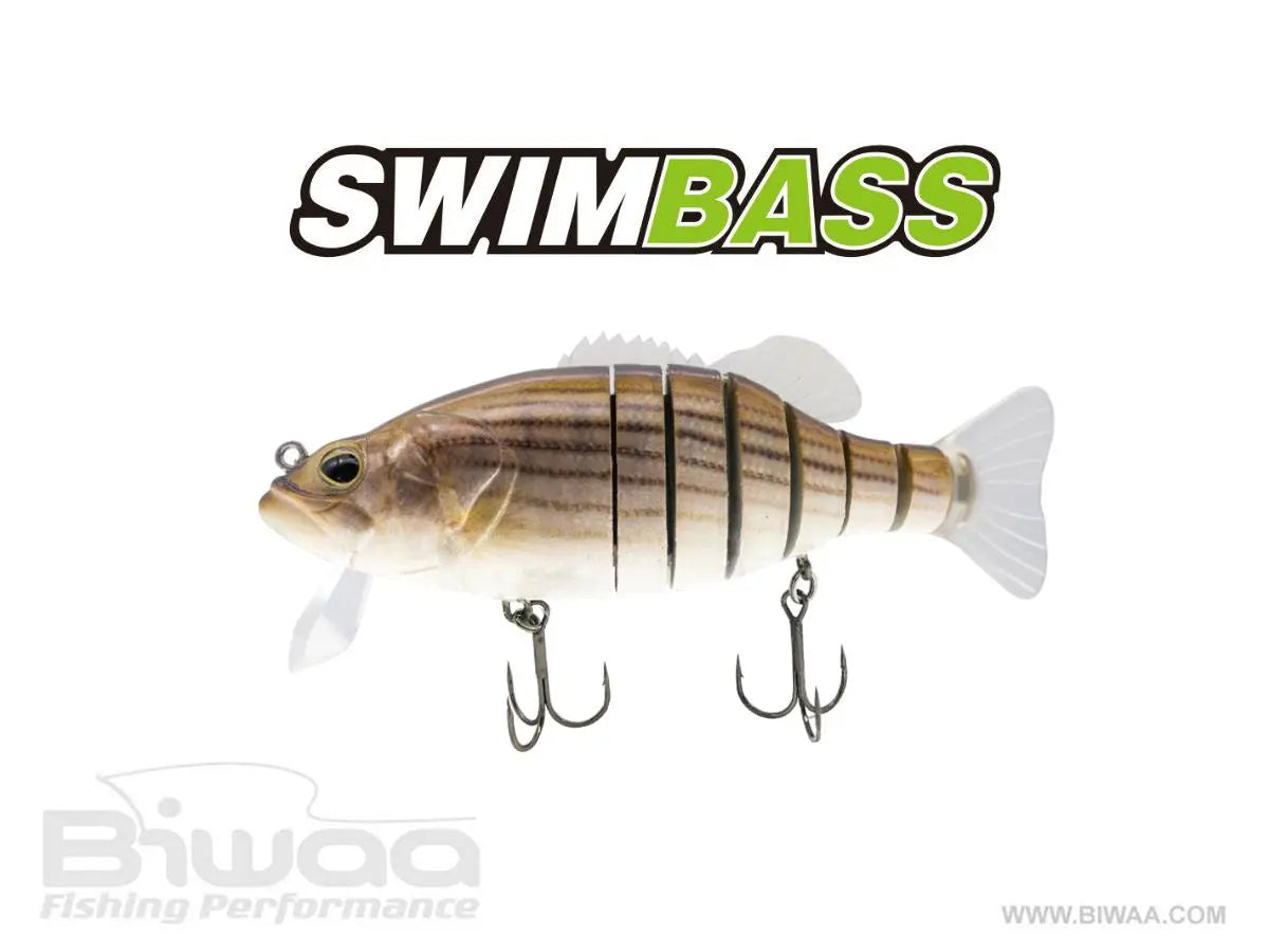 Biwaa Swimbass 6 Slow Sink 15cm 65gr 36 Striped Bass