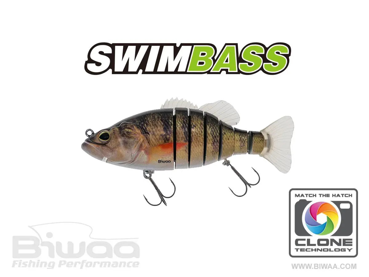 Biwaa Swimbass 6 Slow Sink 15cm 65gr 02 Real Perch