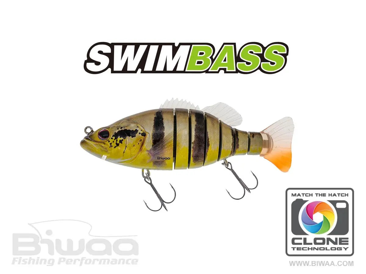 Biwaa Swimbass 6 Slow Sink 15cm 65gr 37 Peacock