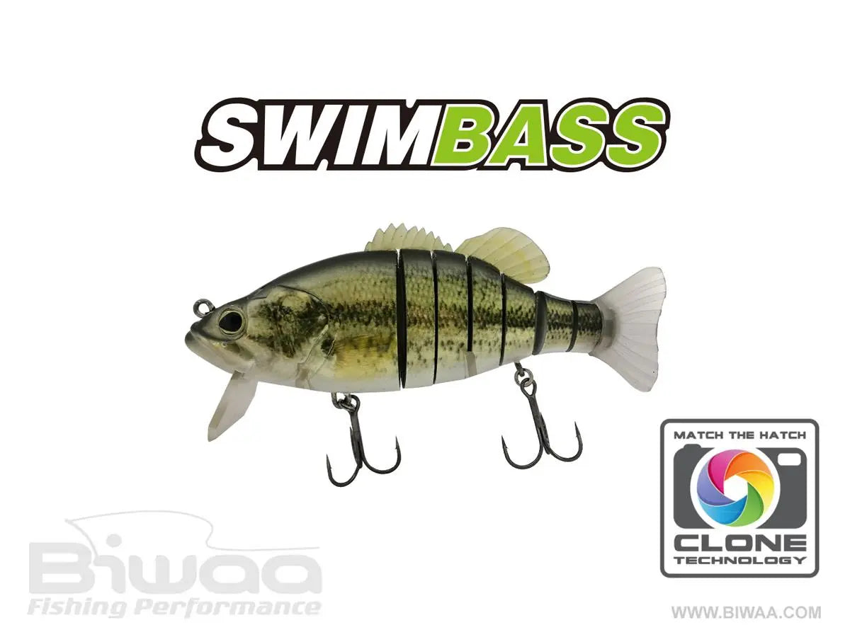 Biwaa Swimbass 6 Slow Sink 15cm 65gr 01 Real Bass