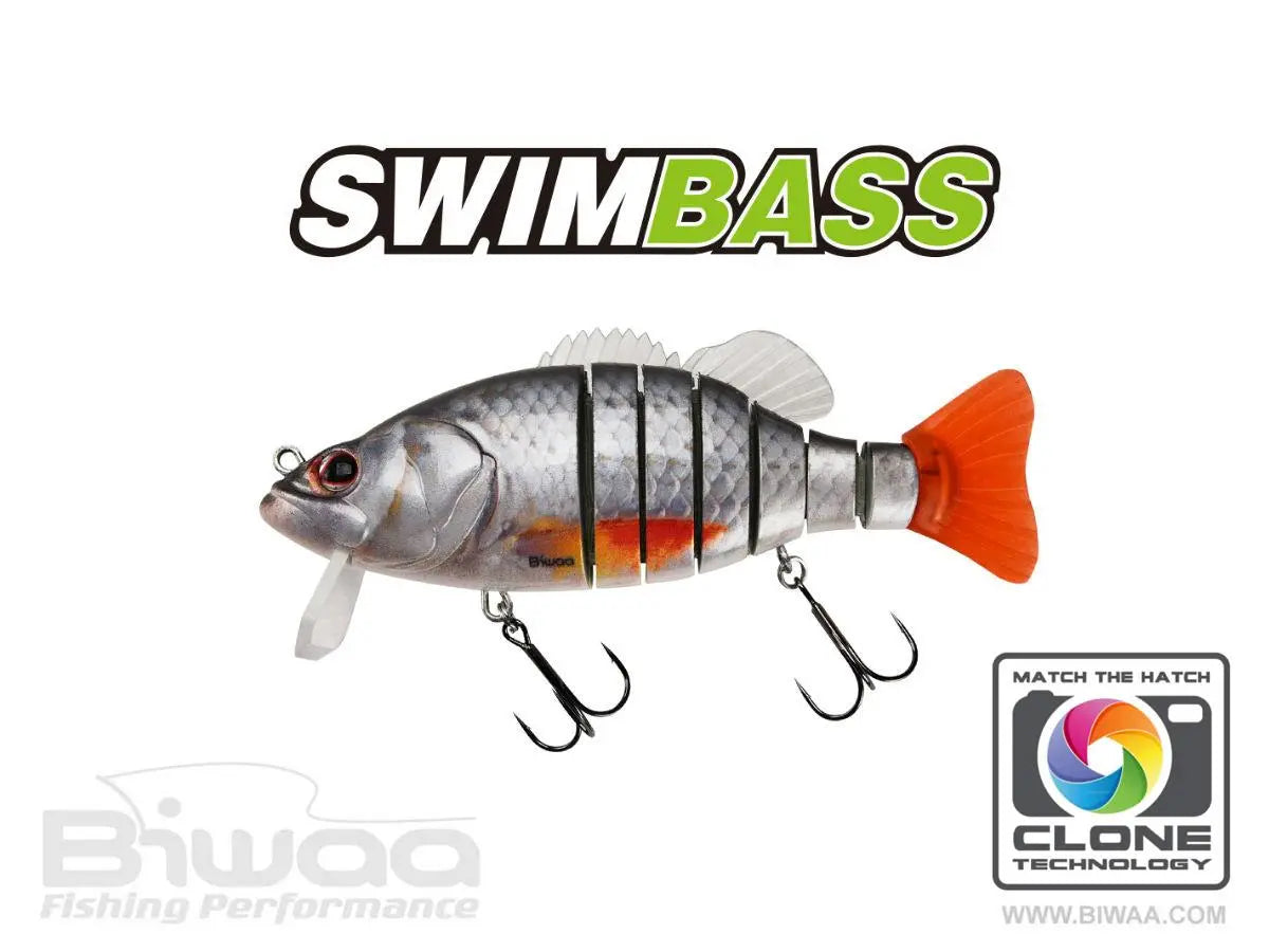 Biwaa Swimbass 6 Slow Sink 15cm 65gr 38 Roach