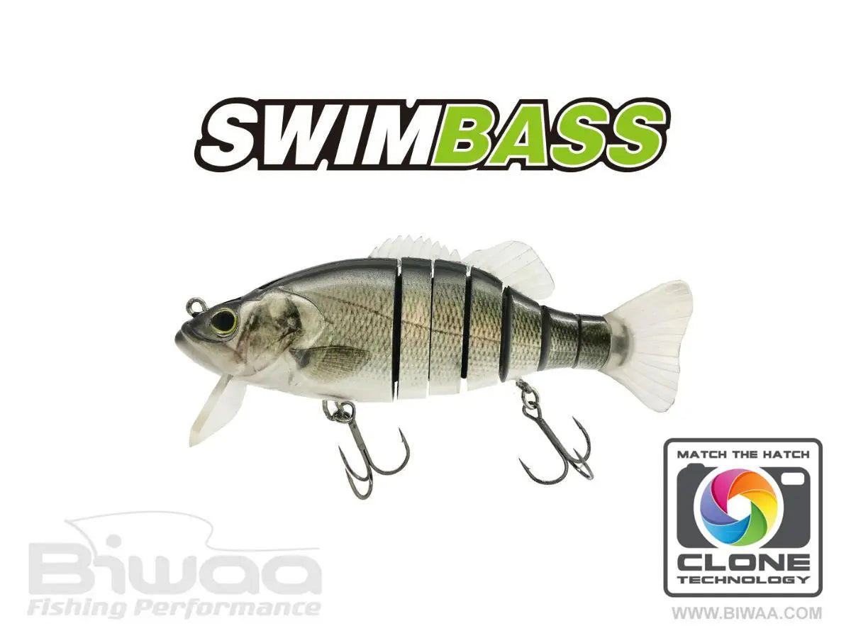 Biwaa Swimbass 6 Slow Sink 15cm 65gr 51 Brazino