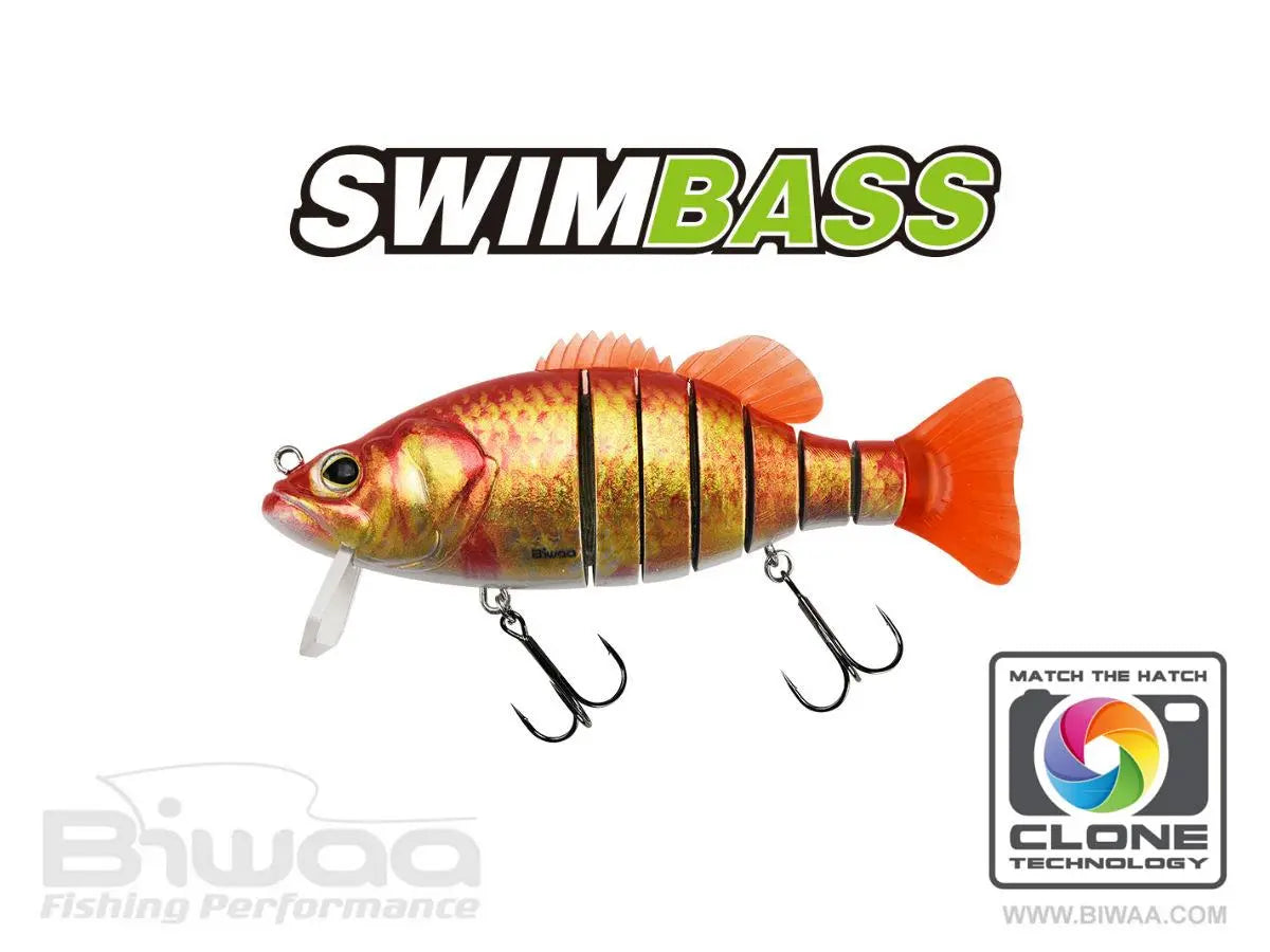 Biwaa Swimbass 6 Slow Sink 15cm 65gr 53 Gold Fish
