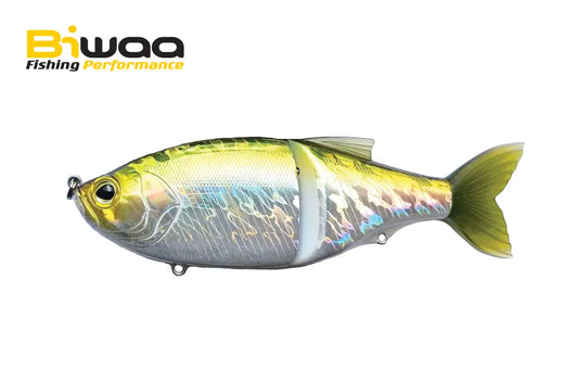Biwaa Glidebeast 145s 14.5cm 57gr D019 Dos Vert