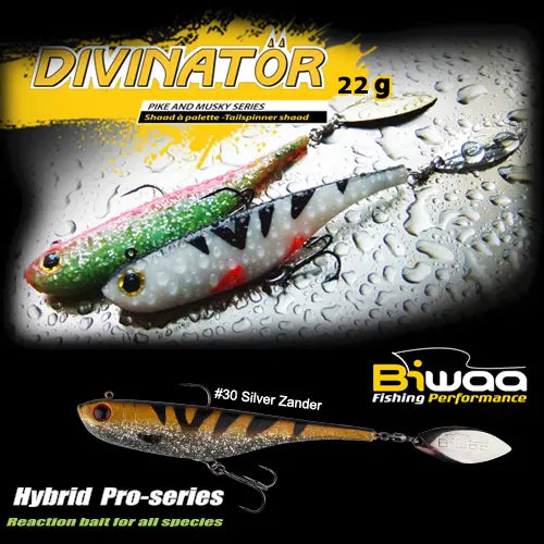 Biwaa Shad Divinator Medium 18cm 35gr 36 Ghost Carp