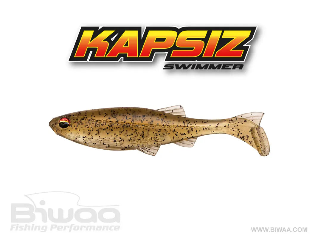 Biwaa Shad Kapsiz 4 10cm 205 Vairon