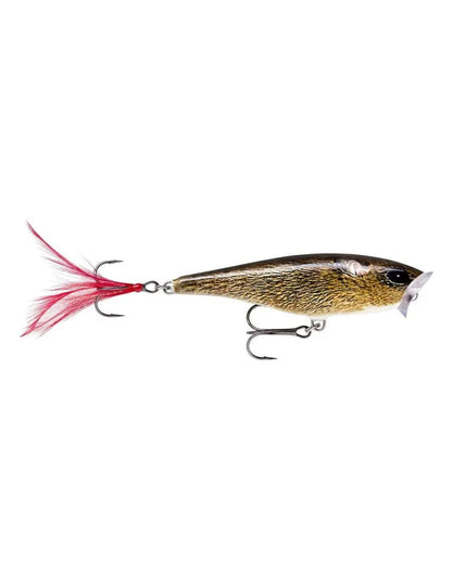 Rapala SKITTER POP SP05 FML